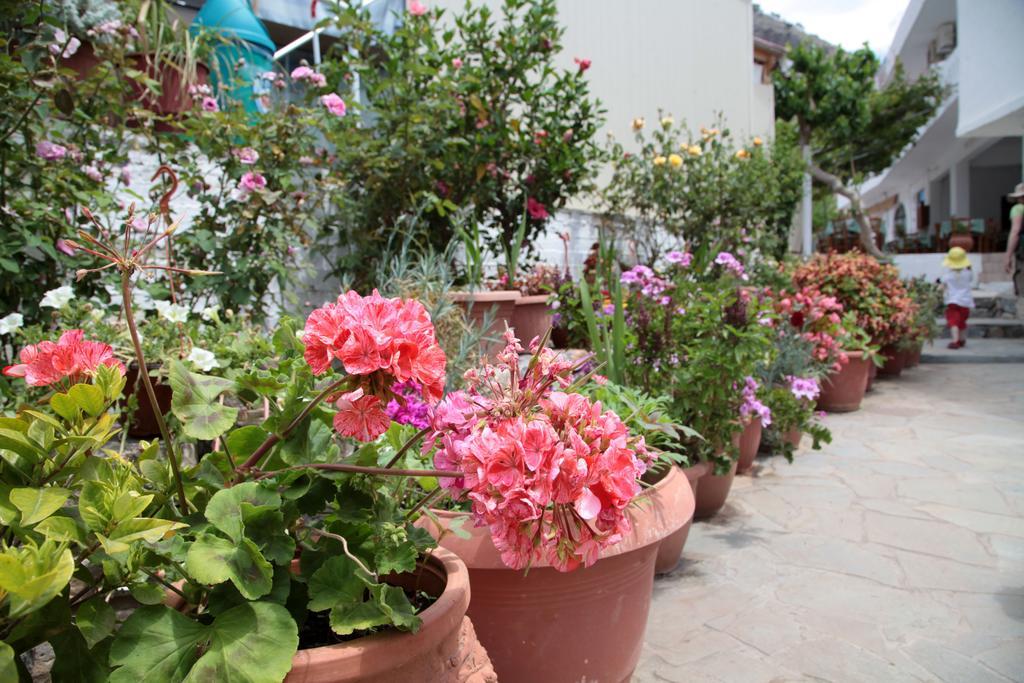 Paralia Guest House Agia Ruméli Exterior foto